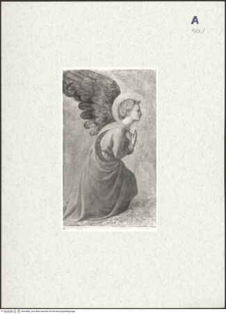 Vorderseite von bh418849_recto