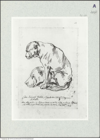 Vorderseite von bh419014_recto