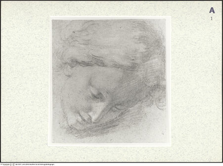 Vorderseite von bh419021_recto