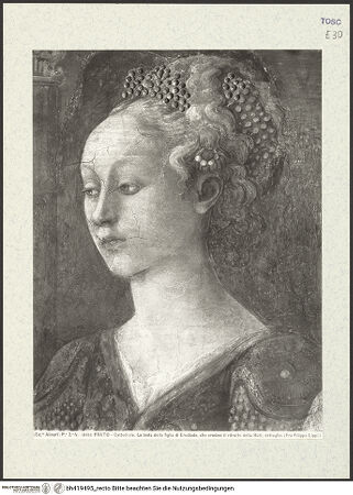 Vorderseite von bh419495_recto