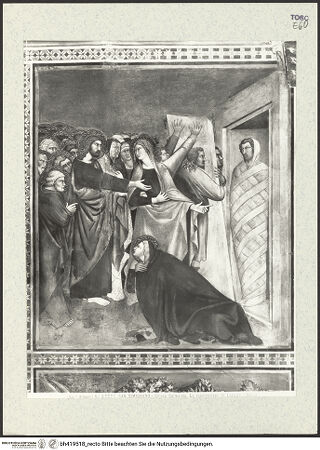 Vorderseite von bh419518_recto