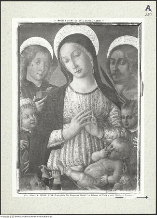 Vorderseite von bh419522_recto