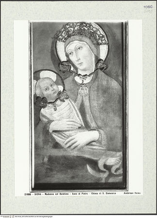 Vorderseite von bh419556_recto