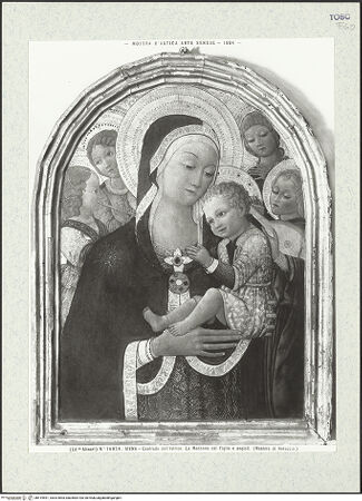 Vorderseite von bh419591_recto