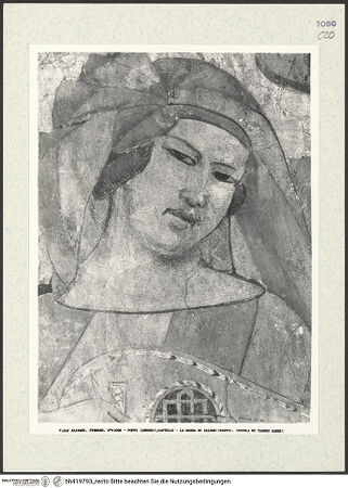 Vorderseite von bh419793_recto