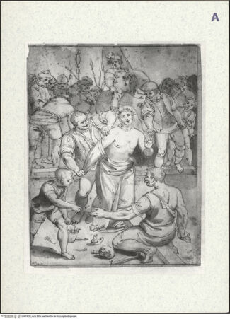 Vorderseite von bh419839_recto