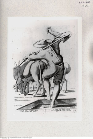 Vorderseite von Staatsgalerie [http://creativecommons.org/publicdomain/mark/1.0/] "L'arti per via disegnate et offerte dal Sig. Gioseppe M.a Mittelli al Grande et Alto Nettuno Gigante Sig. della Piazza di Bologna"Bl. 36: Der Eseltreiber; "Perde chi lava a l'Asino la testa..." - , bh420090. Foto.