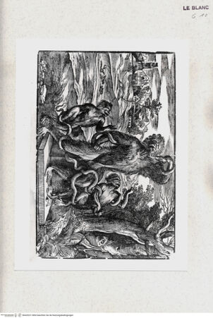 Vorderseite von Staatsgalerie [http://creativecommons.org/publicdomain/mark/1.0/] Der grosse Affe und seine Kinder, Satire auf den Laokoon von Baccio Bandinelli - , bh420231. Foto.