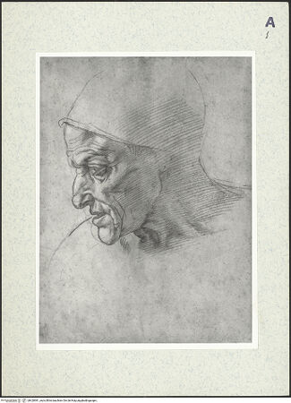 Vorderseite von bh420981_recto