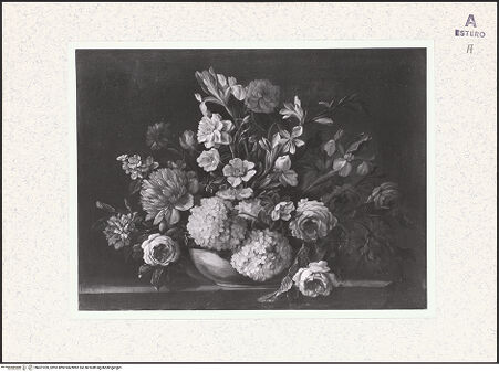 Vorderseite von bh421020_recto