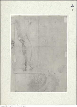 Vorderseite von bh421036_recto