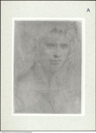 Vorderseite von bh421079_recto