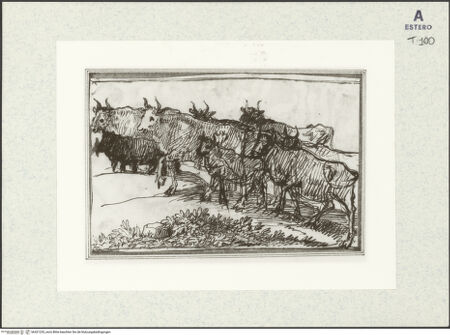 Vorderseite von bh421235_recto