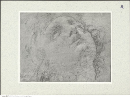 Vorderseite von bh421251_recto