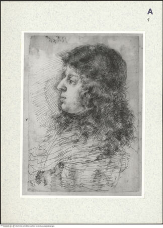 Vorderseite von bh421264_recto