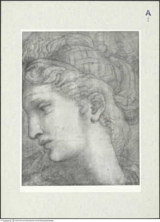 Vorderseite von bh421294_recto