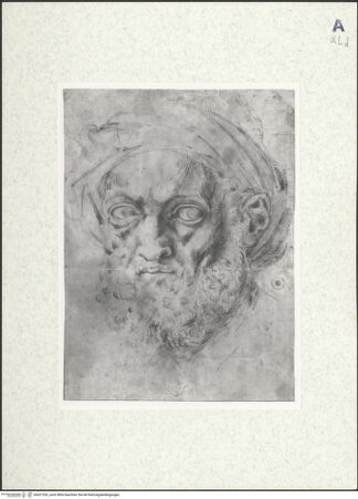 Vorderseite von Ashmolean Museum [https://www.deutsche-digitale-bibliothek.de/content/lizenzen/rv-fz/] Portrait Michelangelos - , bh421553_recto. Foto.