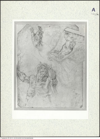 Vorderseite von bh421611_recto