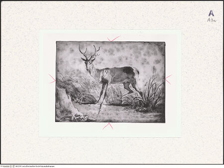 Vorderseite von bh421841_recto