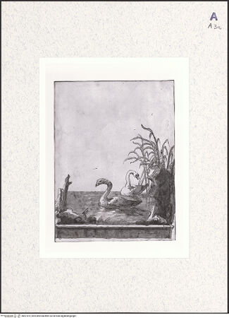 Vorderseite von bh421875_recto