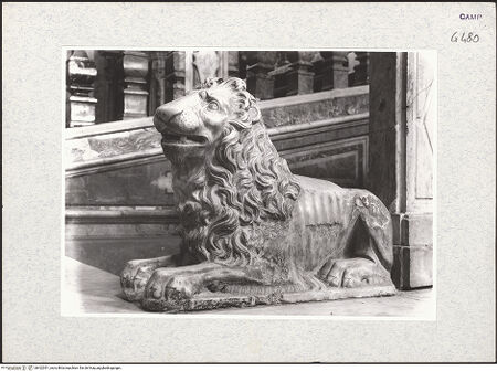 Vorderseite von Foto Marburg [https://www.deutsche-digitale-bibliothek.de/content/lizenzen/rv-ez/] Löwe - Seitenansicht von rechts, bh422051_recto. Foto.