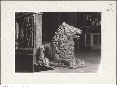 Vorderseite von Foto Marburg [https://www.deutsche-digitale-bibliothek.de/content/lizenzen/rv-ez/] Löwe - Seitenansicht von links, bh422052_recto. Foto.