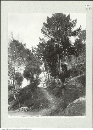 Vorderseite von bh422398_recto