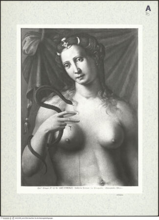 Vorderseite von bh422509_recto