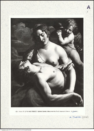 Vorderseite von bh422521_recto