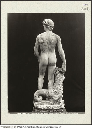 Vorderseite von bh422675_recto