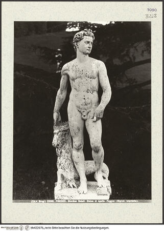 Vorderseite von bh422676_recto