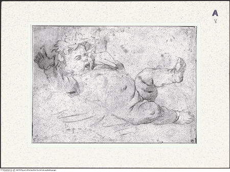 Vorderseite von bh423255_recto