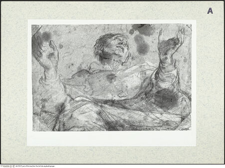 Vorderseite von bh423257_recto