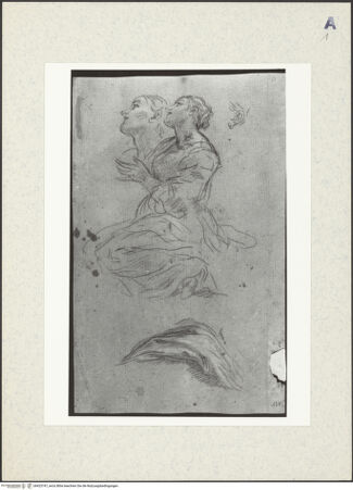 Vorderseite von bh423747_recto