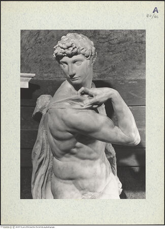 Vorderseite von bh424114_recto