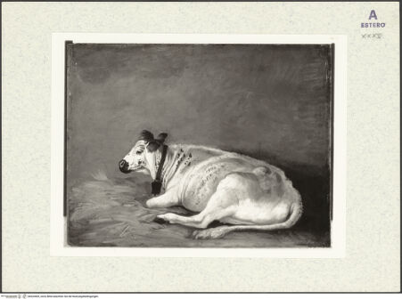 Vorderseite von bh424403_recto