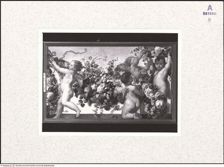 Vorderseite von bh424805_recto