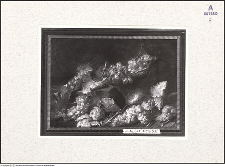 Vorderseite von bh424814_recto