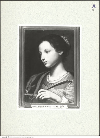 Vorderseite von bh424819_recto