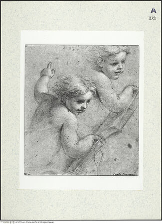 Vorderseite von bh424919_recto