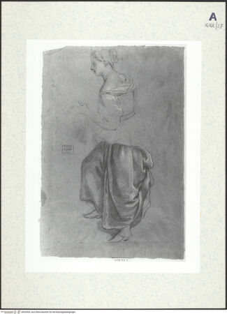 Vorderseite von bh424920_recto