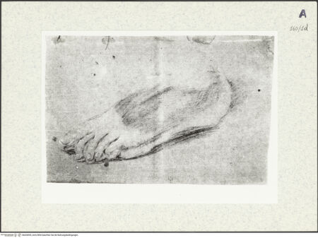 Vorderseite von bh424935_recto