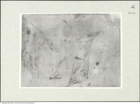 Vorderseite von bh424937_recto