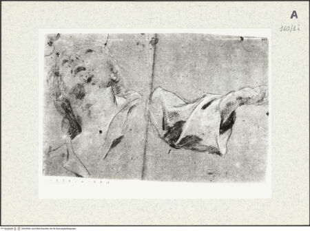 Vorderseite von bh424940_recto