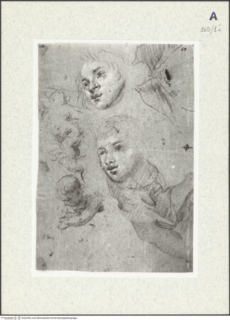 Vorderseite von bh424942_recto