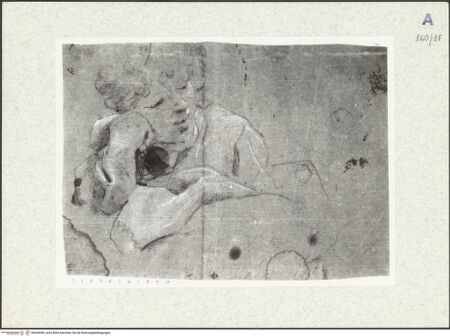 Vorderseite von bh424949_recto