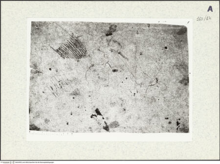 Vorderseite von bh424955_recto