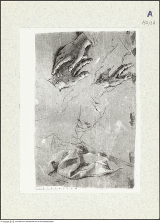 Vorderseite von bh424956_recto