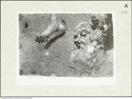 Vorderseite von bh424965_recto