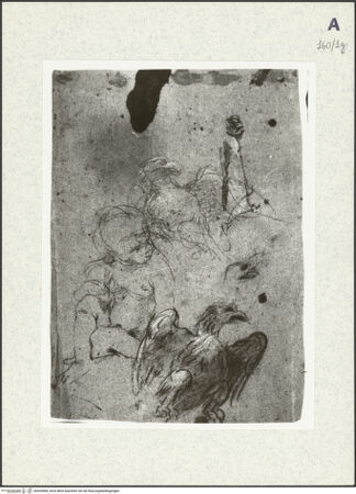 Vorderseite von bh424968_recto